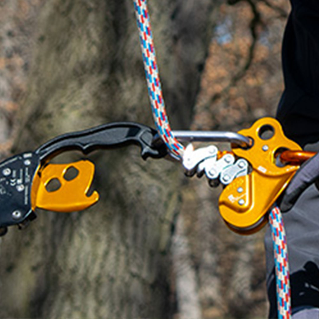 Ascenders & Descenders