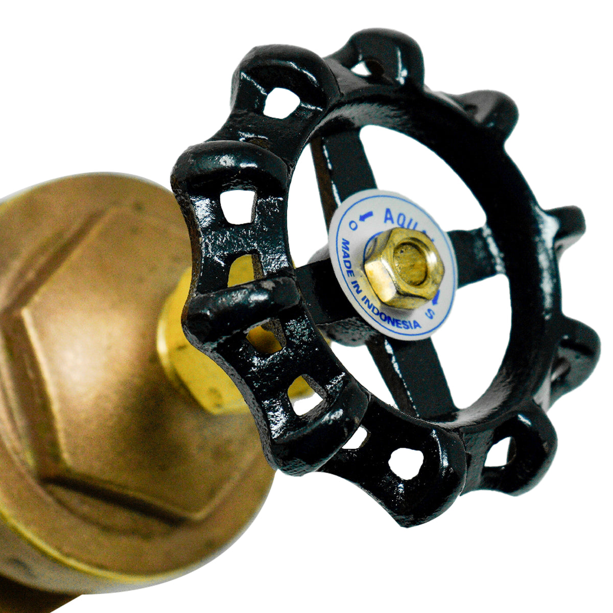 Aqualine BGV-250 2-1/2-inch Brass Gate Valve with Wheel Handle 200 WOG