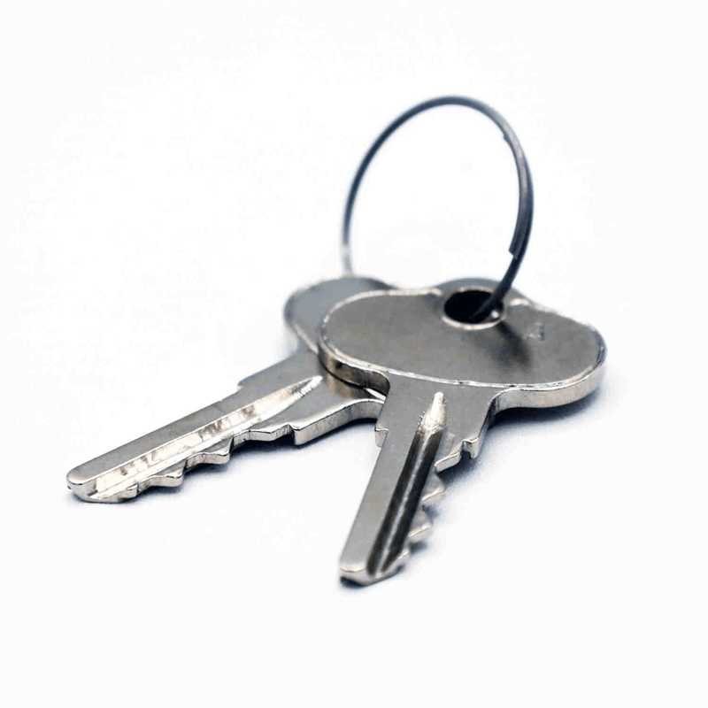 Ariens 21510400 Ignition Key Set