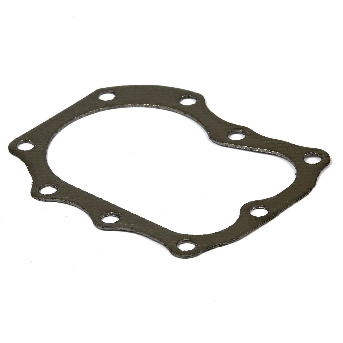 Briggs & Stratton 272163S Cylinder Head Gasket
