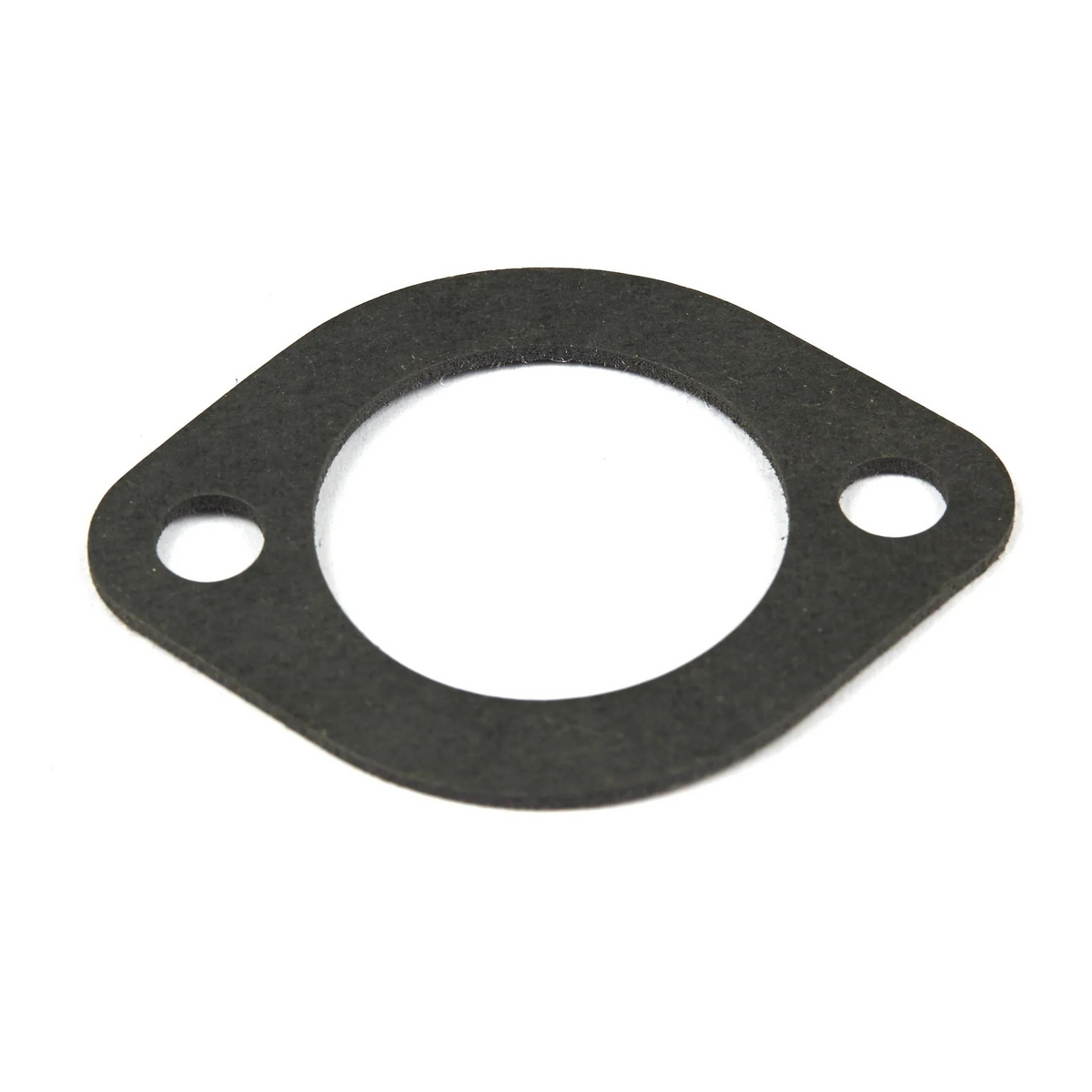Briggs & Stratton 692219 Intake Gasket