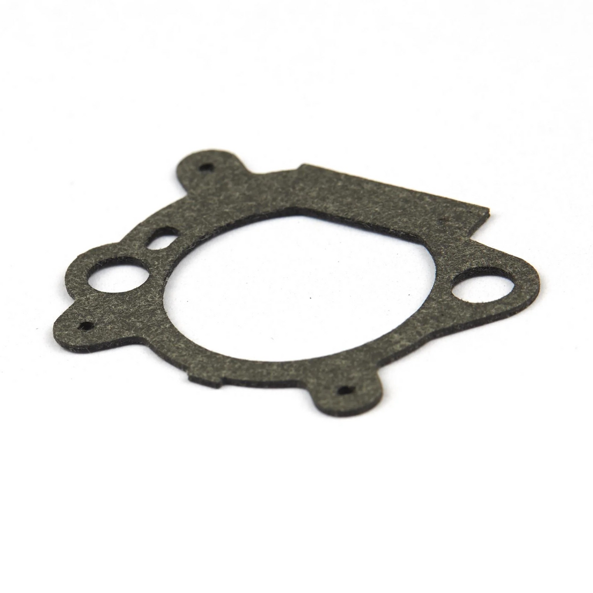 Briggs & Stratton 795629 Air Cleaner Gasket