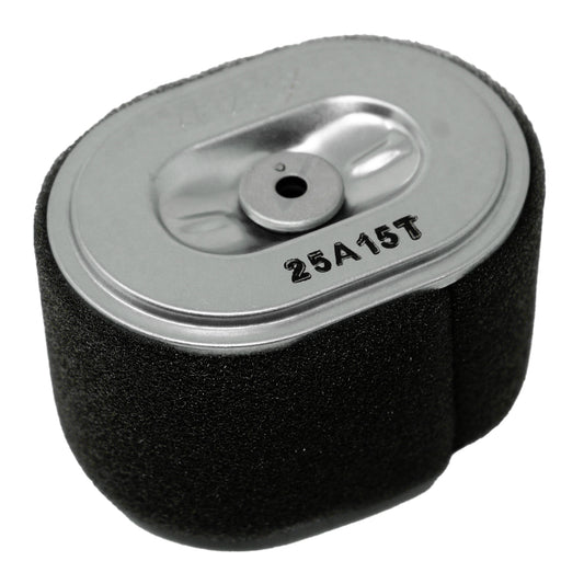 Honda 17210-Z4M-821 Dual Element Air Cleaner
