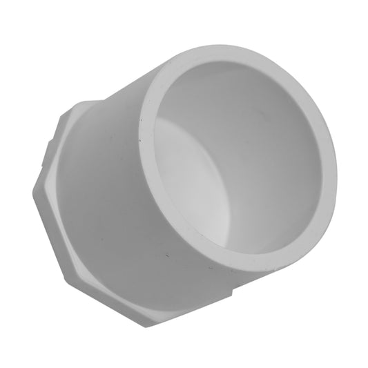 Tapón Westlake Pipe & Fittings 449025 2½ SP S40