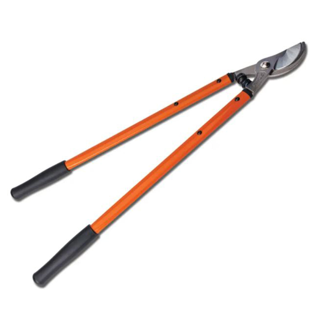 Podadora Stihl PL 5 para propietarios de viviendas