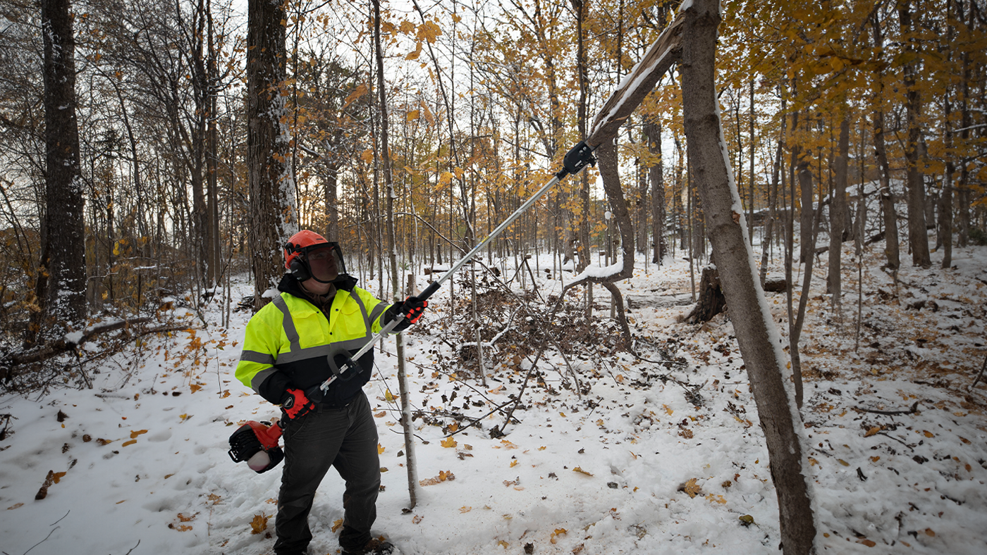 Prune like a Pro: An Arborist’s Guide to Winter Pruning