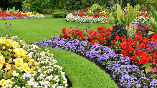 Flower Bed Pre-Emergent Guidelines