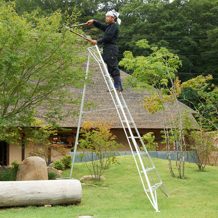 Ladders