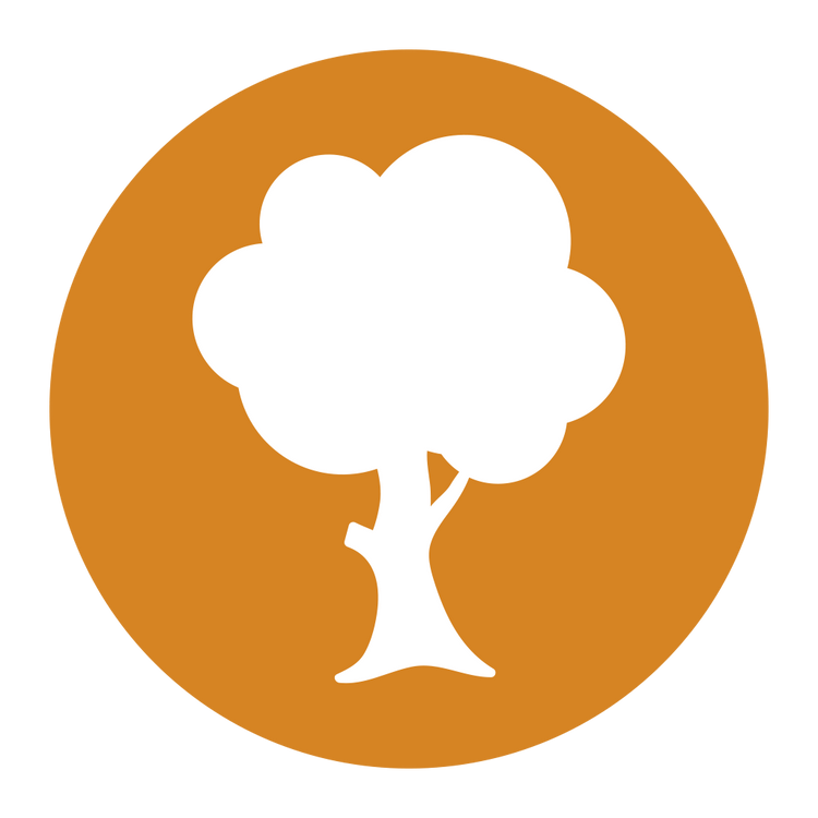Arbor