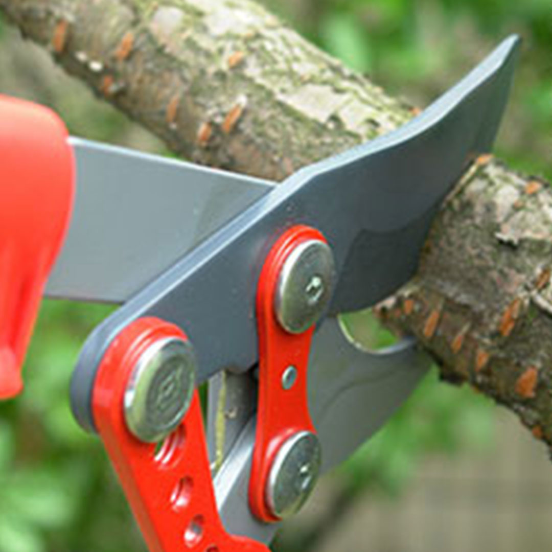 Pruning & Trimming Tools