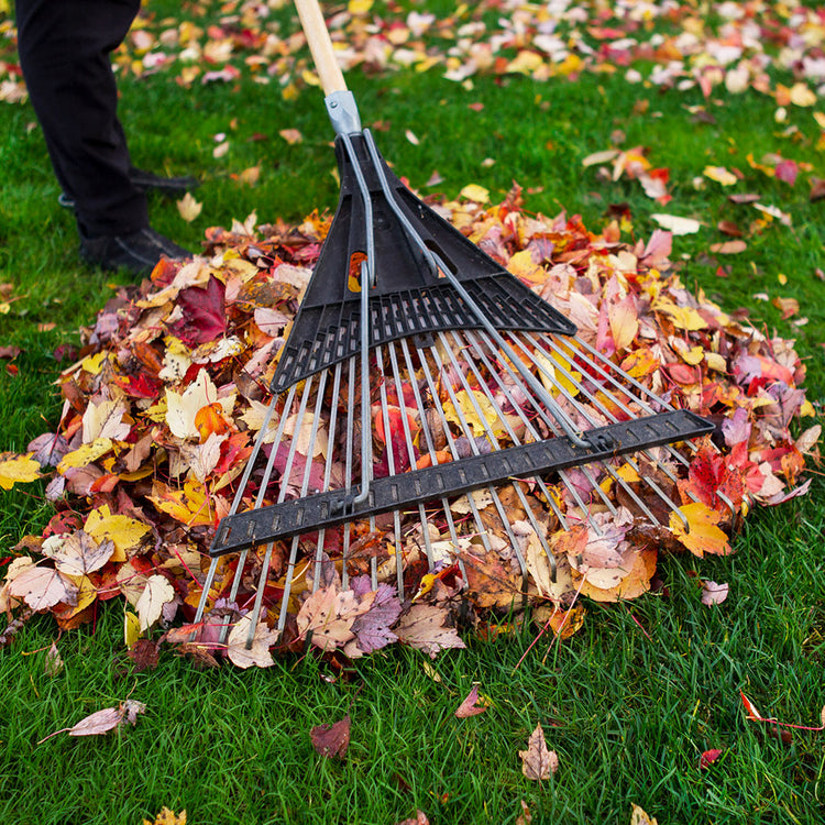 Rakes