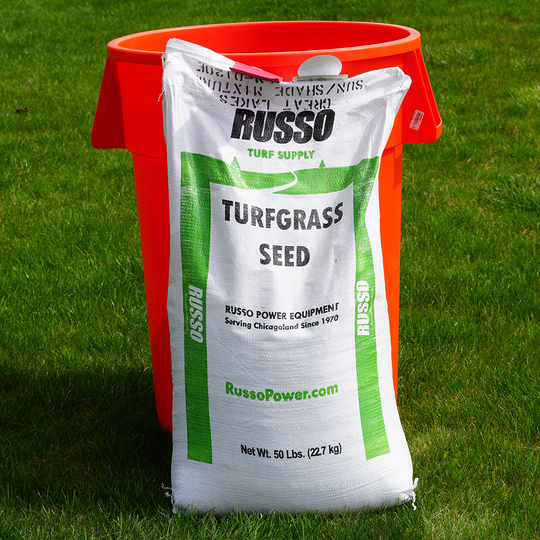 Grass Seed