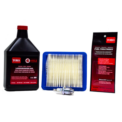 KIT DE MANTENIMIENTO Toro 20234 WPM - BRIGGS