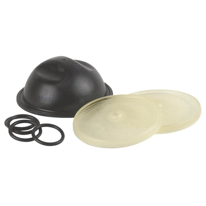 Hypro 9910-KIT1725 Kit de reparación de diafragma