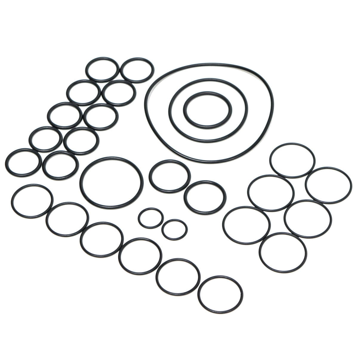 Hypro 9910-KIT2389 O-Ring Kit