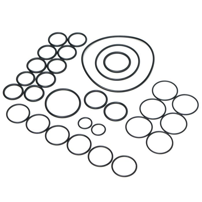 Hypro 9910-KIT2389 O-Ring Kit