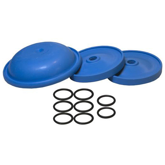 Annovi Reverberi AR43281 Diaphragm Kit