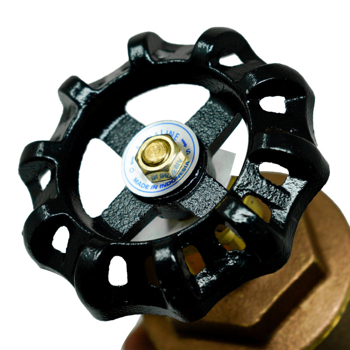 Aqualine BGV-200 2-inch Brass Gate Valve with Wheel Handle 200 WOG