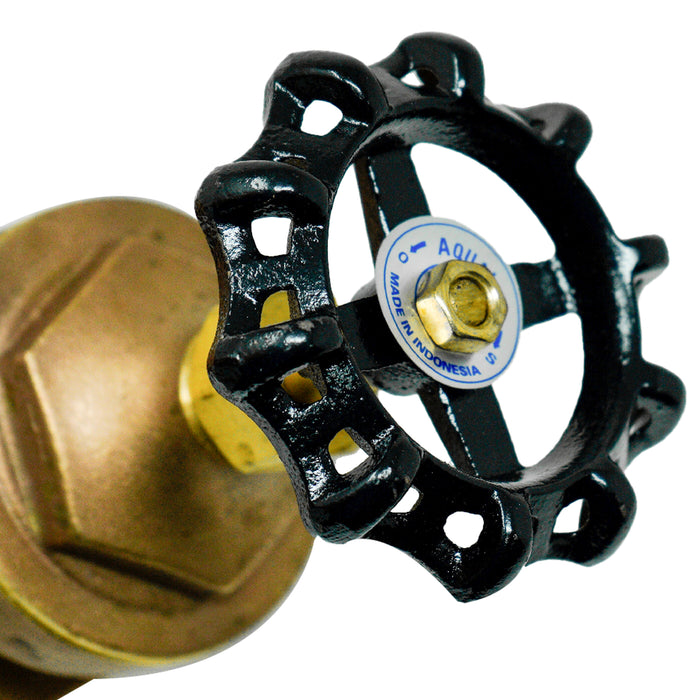 Aqualine BGV-250 2-1/2-inch Brass Gate Valve with Wheel Handle 200 WOG