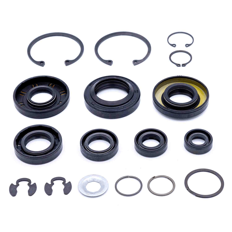 Kit de sellos y retenes Ariens 21543935