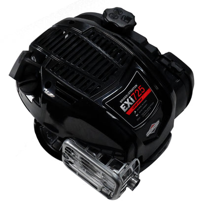 Motor Briggs &amp; Stratton 104M02-0196-F1 7.25