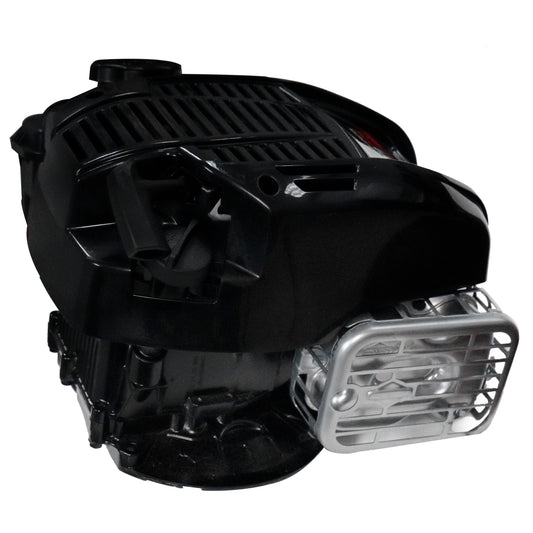 Motor Briggs &amp; Stratton 104M02-0196-F1 7.25