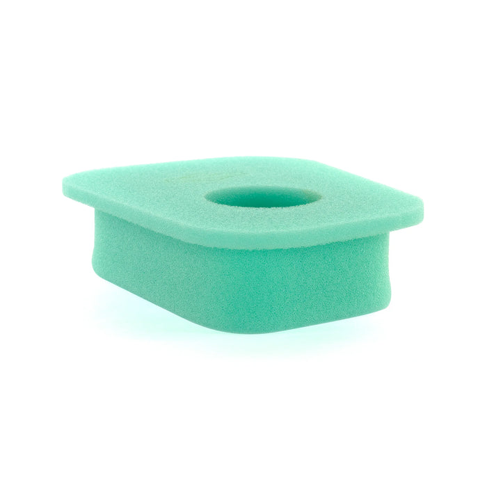 Briggs & Stratton 27987S Foam A/C Filter