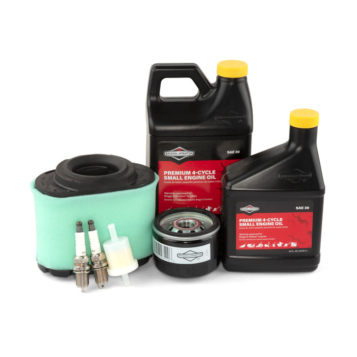 Briggs & Stratton 84002317 Professional Series Tuneup Kit