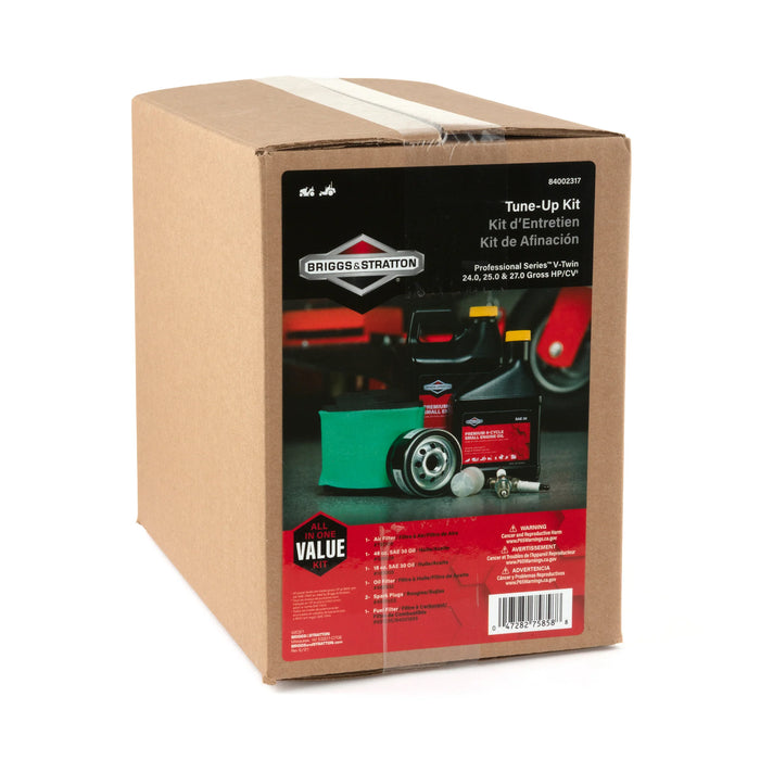 Briggs & Stratton 84002317 Professional Series Tuneup Kit