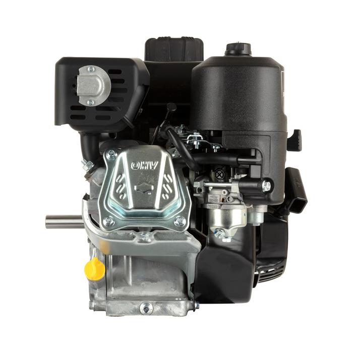 Briggs & Stratton 106232-0079-F1 Engine Packed Single Carton