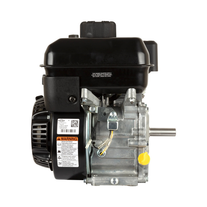 Briggs & Stratton 106232-0079-F1 Engine Packed Single Carton