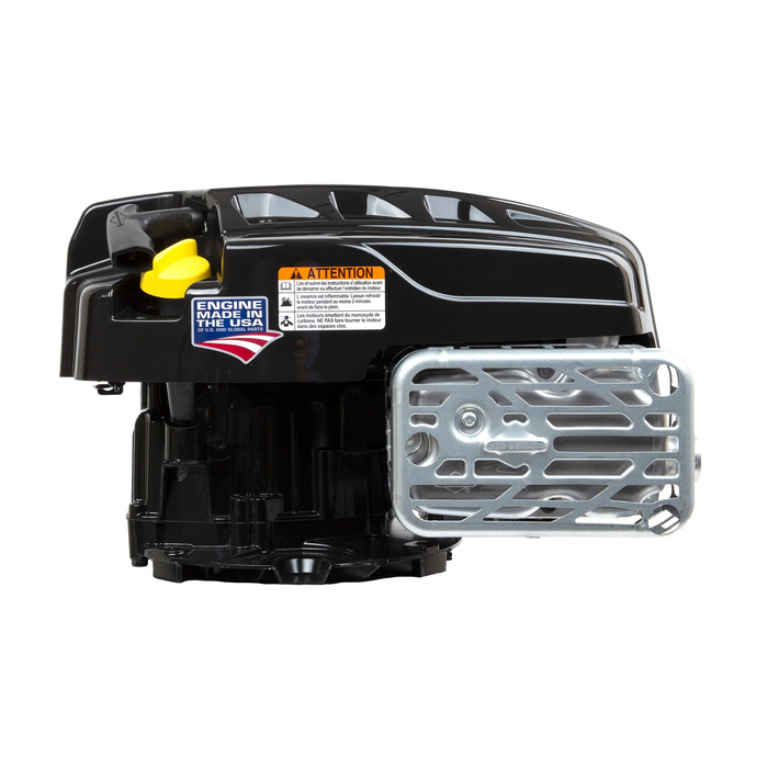 Briggs & Stratton 125P02-0012-F1 Engine/190Cc Vertical 25Mm Shaft Recoil Start