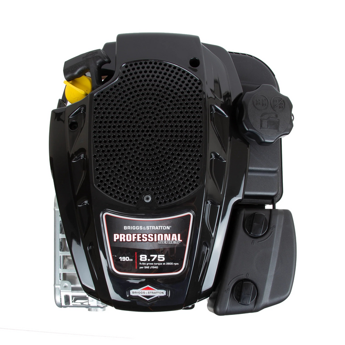 Briggs & Stratton 125P02-0012-F1 Engine/190Cc Vertical 25Mm Shaft Recoil Start