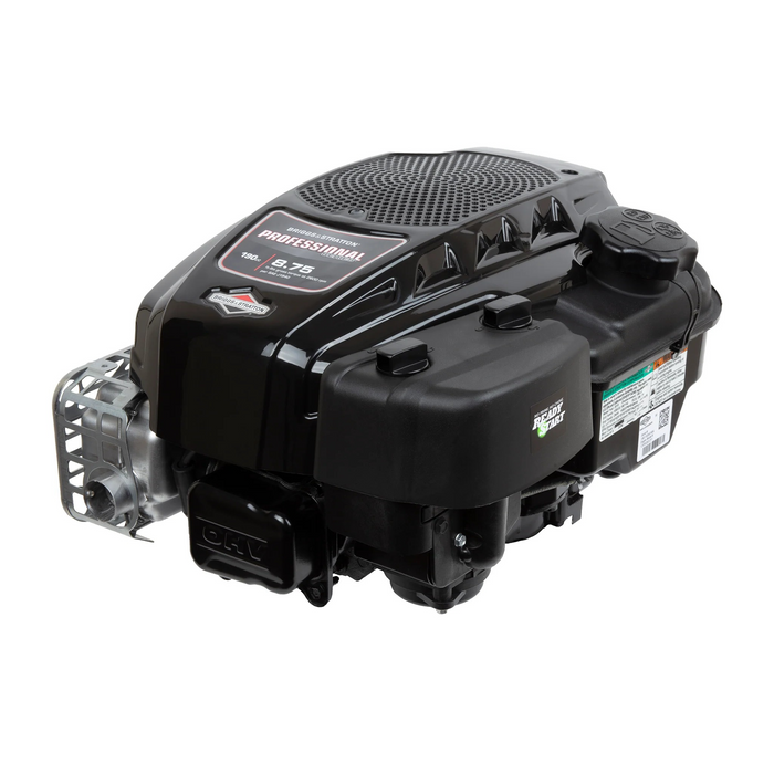 Briggs & Stratton 125P02-0012-F1 Engine/190Cc Vertical 25Mm Shaft Recoil Start