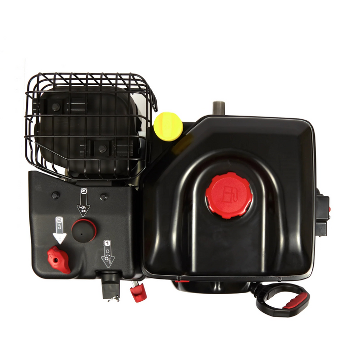 Briggs & Stratton 25M137-0019-F1 Engine