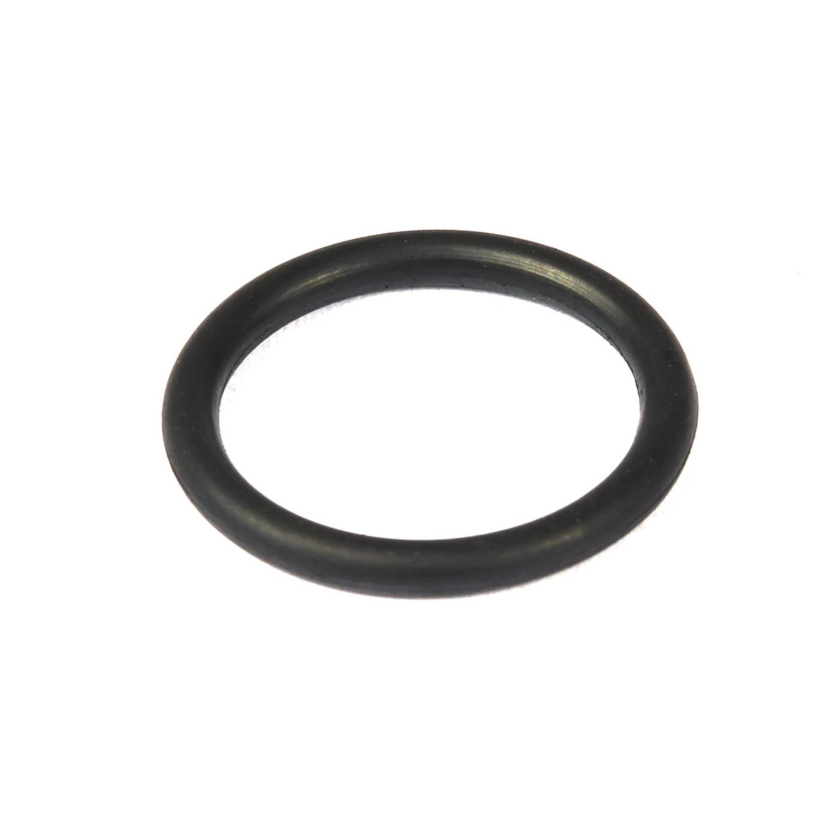 Briggs & Stratton 270344S O Ring Seal