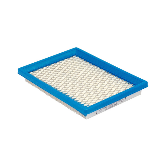 Briggs & Stratton 397795S A/C Cartridge Filter