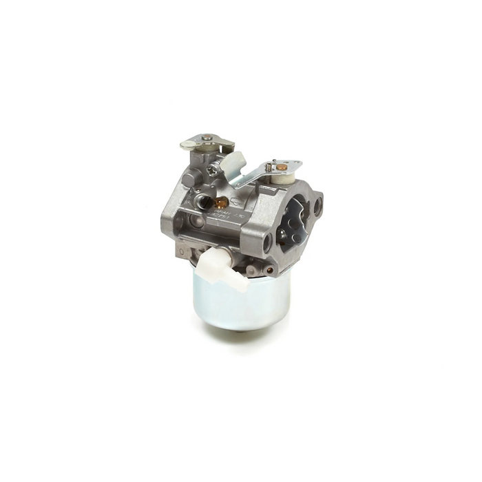 Briggs & Stratton 495782 Carburetor
