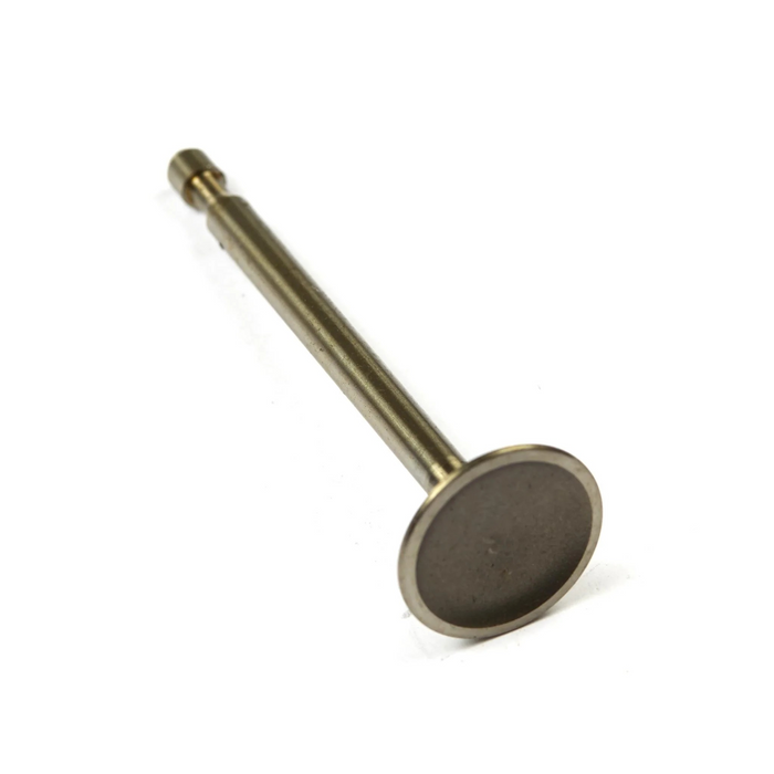 Briggs & Stratton 590393 Intake Valve