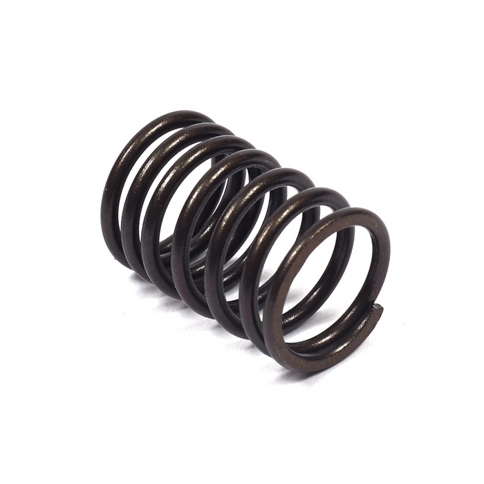 Briggs & Stratton 690520 Valve Spring