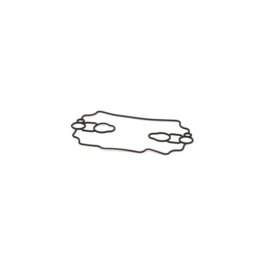 Briggs & Stratton 693711 Float Bowl Gasket