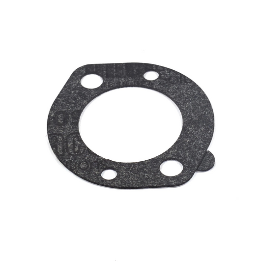 Junta del filtro de aire Briggs &amp; Stratton 696024