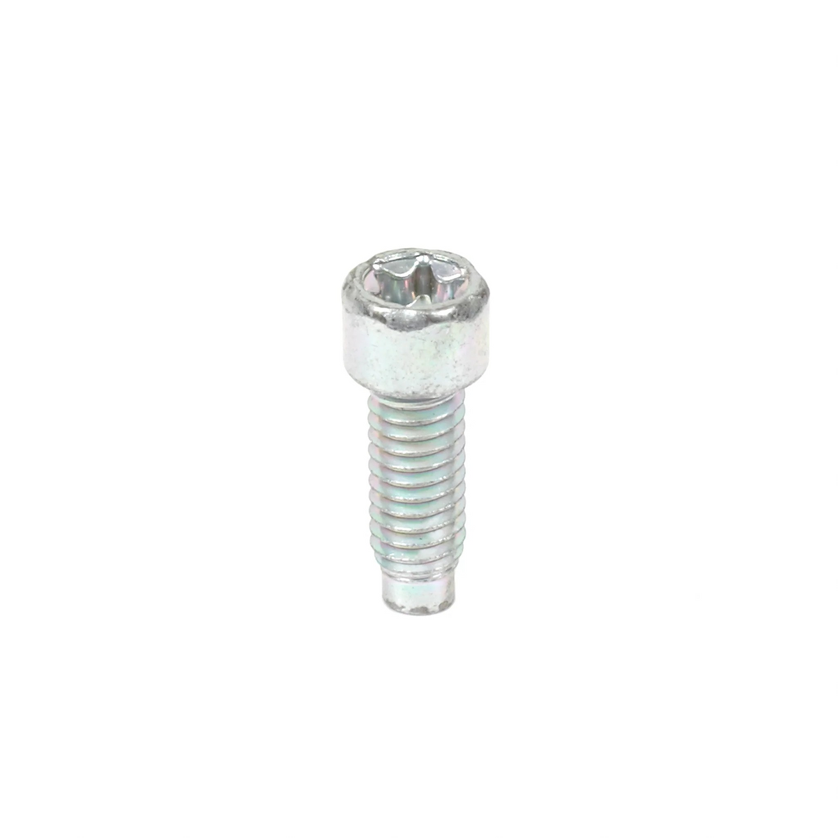 Tornillo Briggs &amp; Stratton 698941