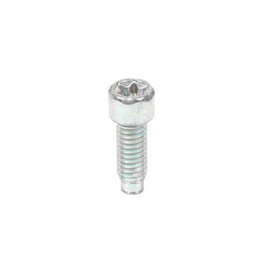 Tornillo Briggs &amp; Stratton 698941