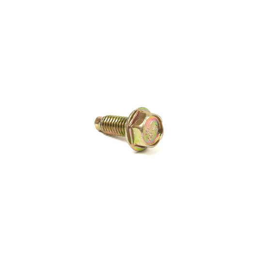 Tornillo Briggs &amp; Stratton 699481