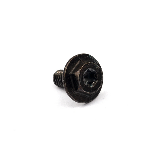 Tornillo Briggs &amp; Stratton 699854