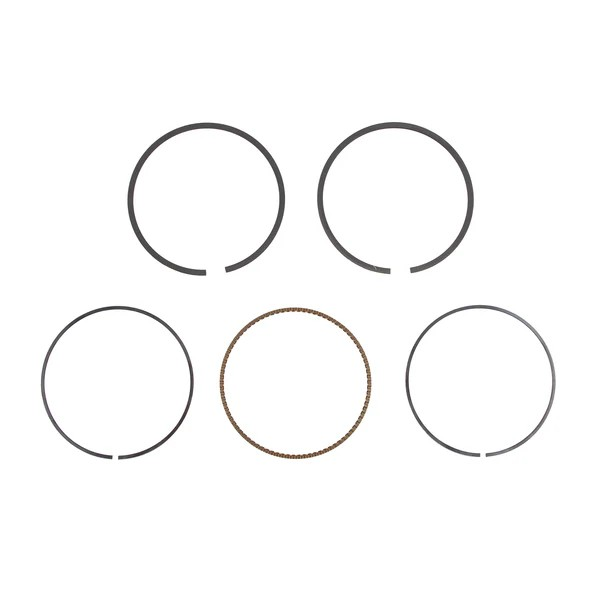 Briggs & Stratton 791787 Ring Set