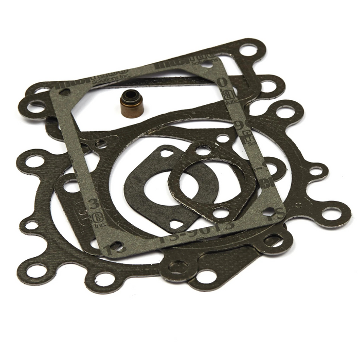 Briggs & Stratton 794152 Valve Gasket Set