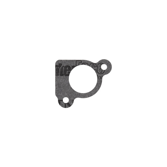 Briggs & Stratton 794306 Intake Gasket