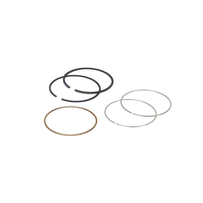 Briggs & Stratton 795690 Ring Set